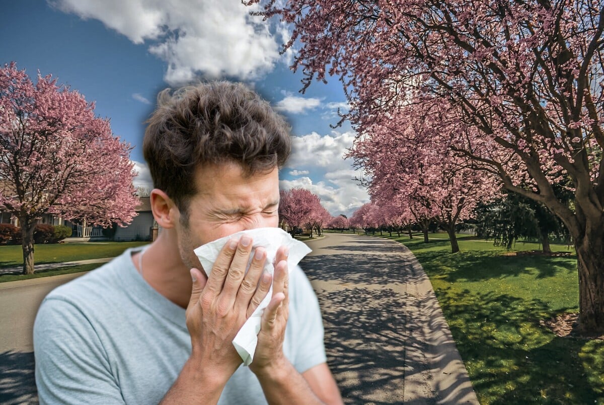 Alergia je neprimeraná reakcia imunitného systému. 