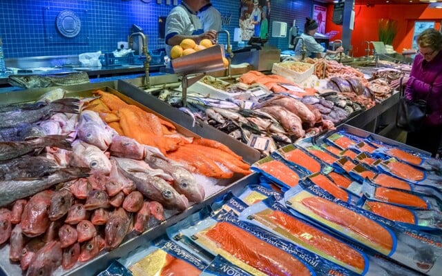 Inšpektori našli vo vzorkách ryby nebezpečné baktérie. Na slovenský trh sa jej dostalo 31-tisíc kilogramov