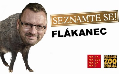Bitka ve Sněmovně se stala vděčným meme materiálem. Vznikl Tumáš Flákanec nebo parodie na útoku na Kapitol.