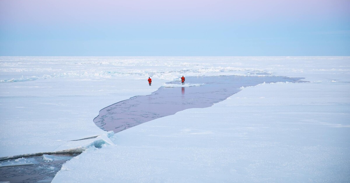 Mimozemské fosilie skryté hluboko v našem oceánu? Vědec oživil nepopulární teorii