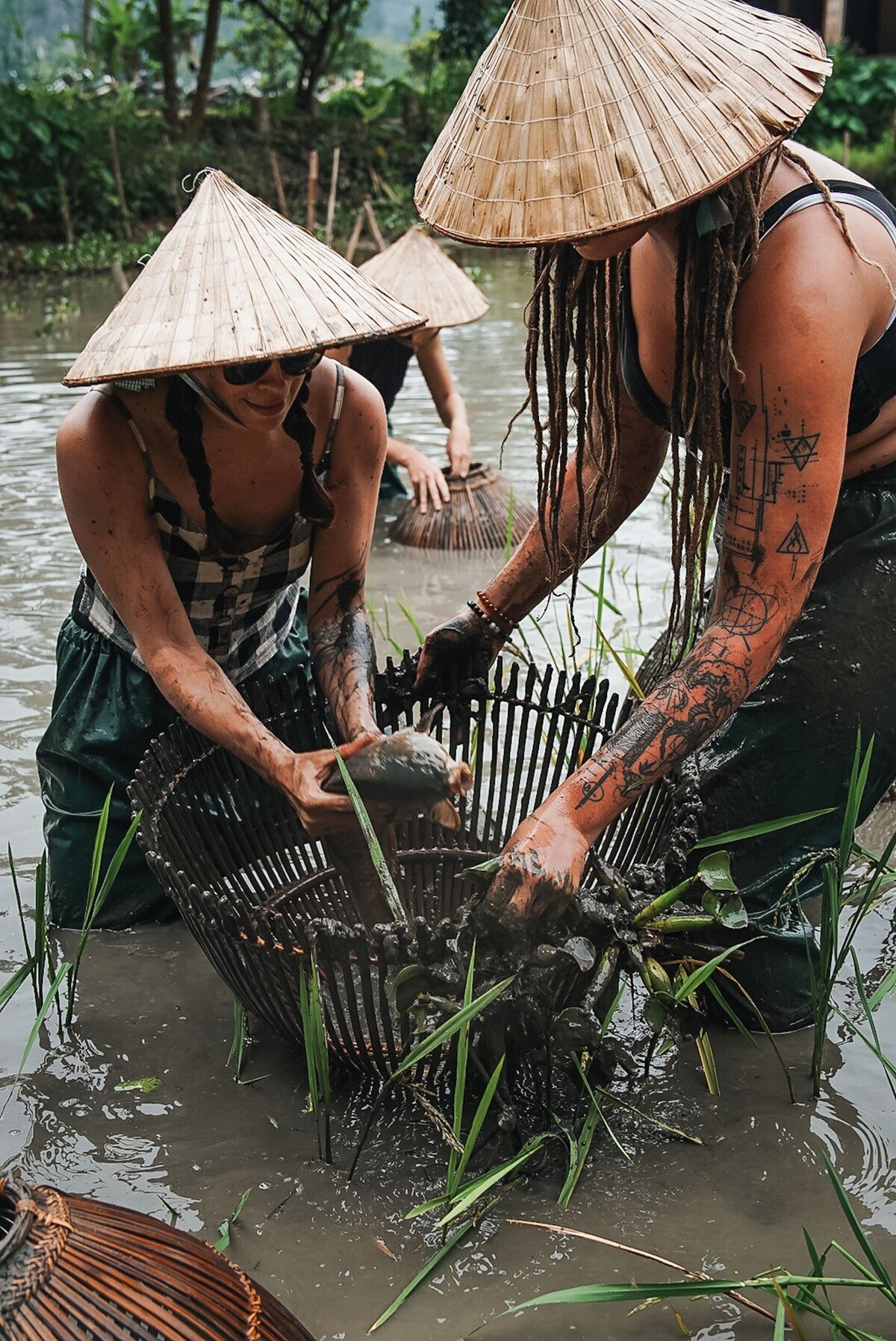 sarah vietnam