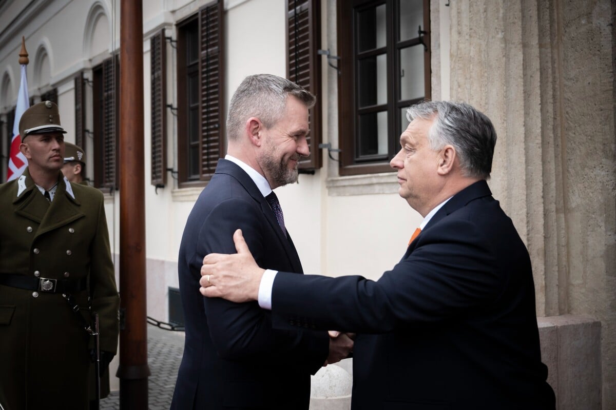 orbán, pellegrini