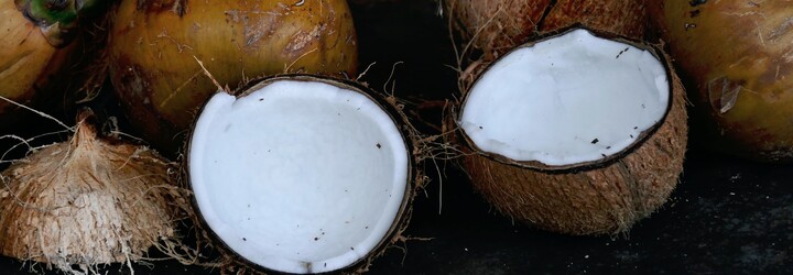 Kolumbijští policisté našli 20 tisíc kokosů naplněných tekutým kokainem