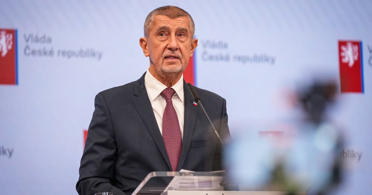 Vláda pro Čechy a Češky na Blízkém východě posílá armádní letadla. Míří do Egypta a Jordánu