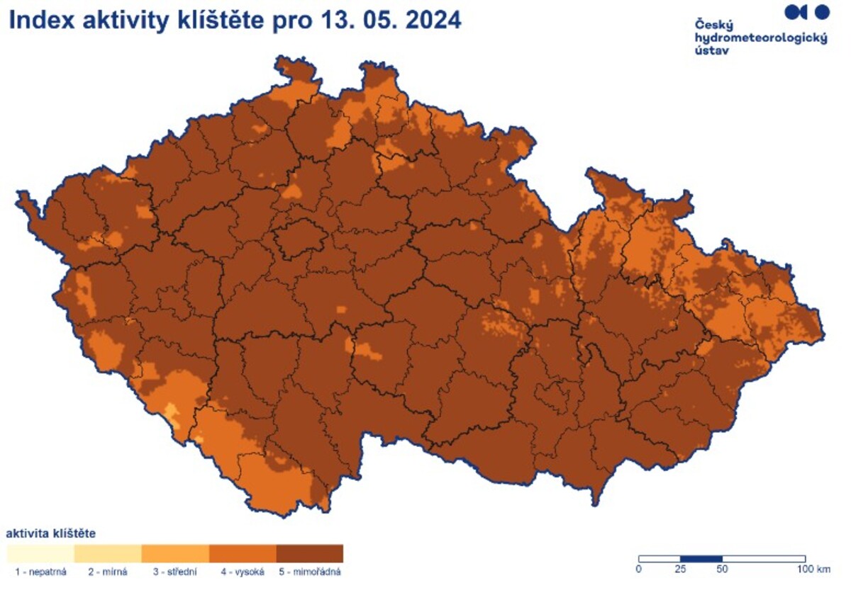 klíště