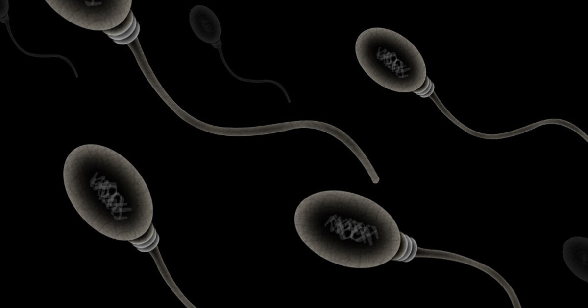 Chceš mít vyšší množství spermií a testosteronu? Studie naznačuje, jaké zaměstnání je k tomu nejvhodnější