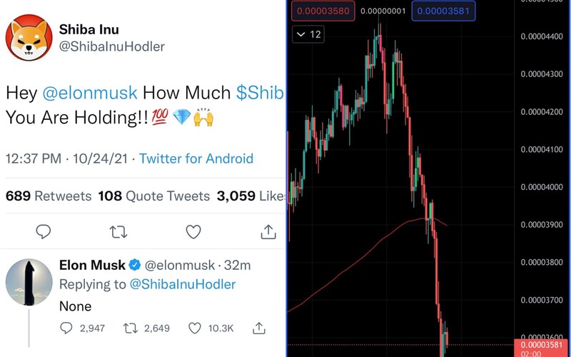 Elon Musk už nemá moc nad všetkými kryptomenami. Shiba rastie aj napriek tweetu o tom, že ju nemá v portfóliu.