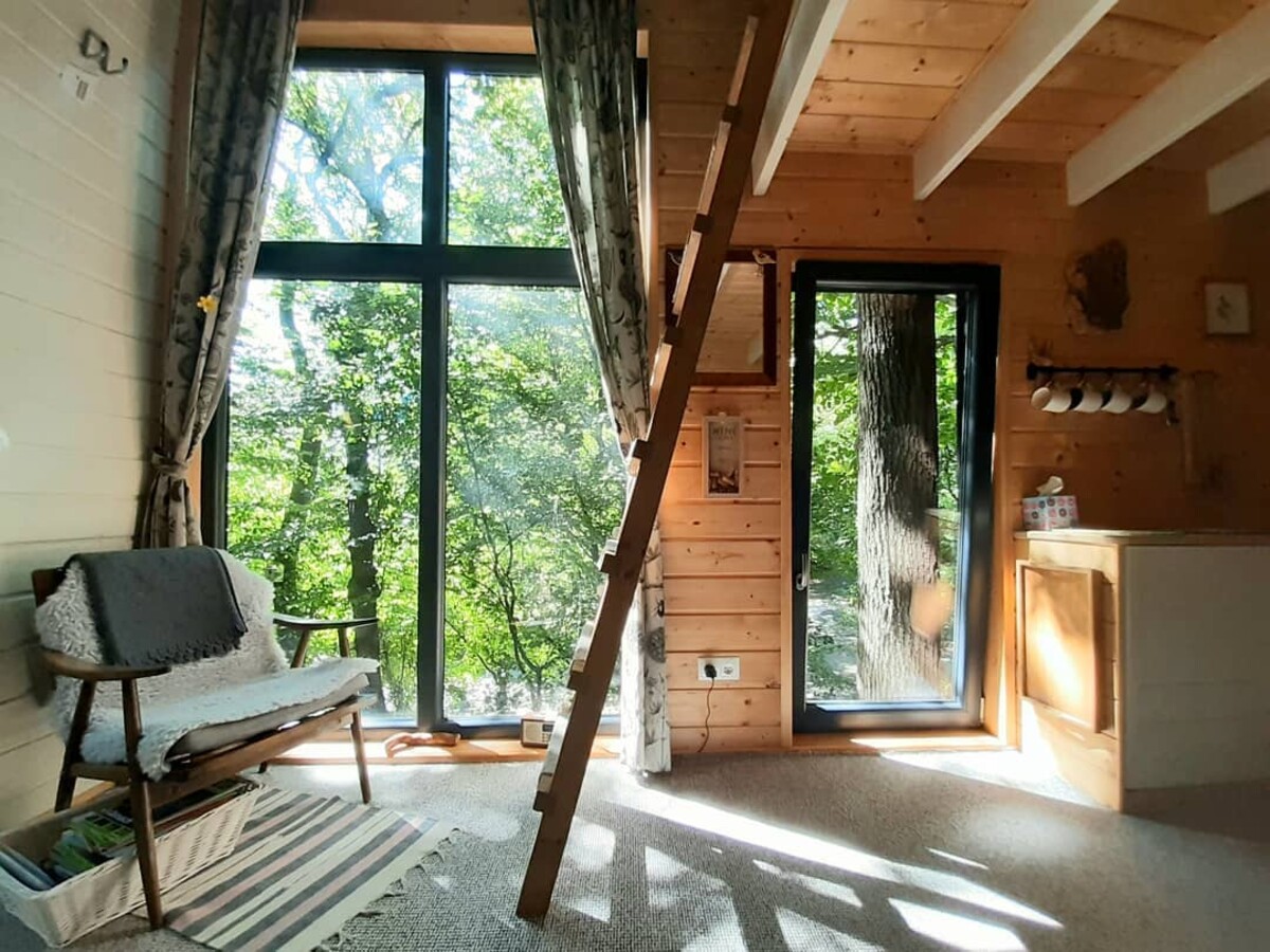 Dom na strome, interiérový dizajn, Slovensko
