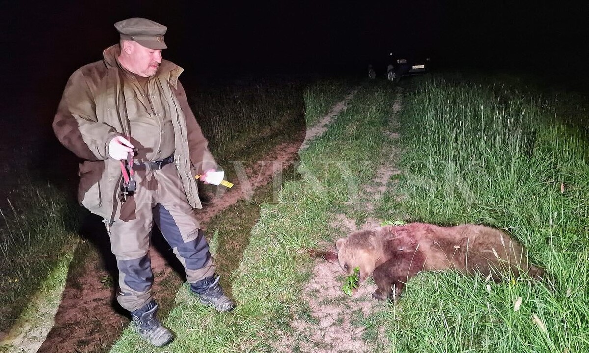 Rudolf Huliak zastrelil v máji 2024 medveďa hnedého a odfotil sa s ním.