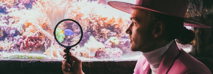 Albert z Bert & Friends: Naše hudba podněcuje fantazii a imaginárno. Ultimátní pravdy nevytváří magnetismus (Rozhovor)