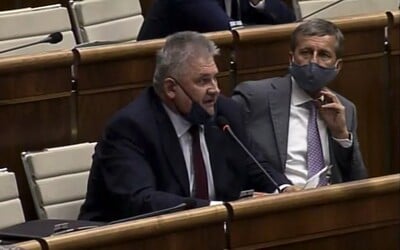 „Zaviazali ste sa, že budete transparentní a čistí – iní, ako my", povedal Richter zo Smeru. SaS sa baví na jeho zrejme nechcenom priznaní.