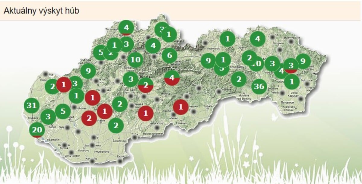 Aktuálny výskyt húb na Slovensku.