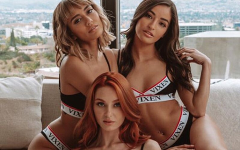 Pornoherci dostanou vybavení za čtvrt milionu, aby mohli natáčet videa z domu. Pracovat budou se spolubydlícími nebo s partnerem.
