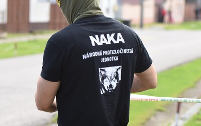AKTUALIZOVANÉ: Policajti z NAKA dnes zasahujú na celom území Slovenska. Akcia dostala krycí názov Stonehenge