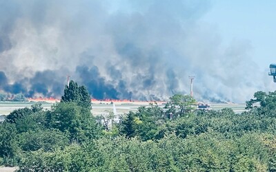 AKTUÁLNE: Pri bratislavskom letisku je obrovský požiar, horí rozsiahly pás poľa. Na mieste zasahujú hasiči aj polícia