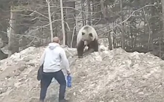 AKTUÁLNE: V Malej Fatre hlásia napadnutie medveďom. Na mieste sú záchranári aj vrtuľník