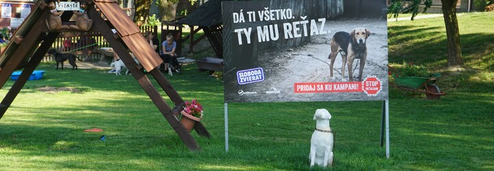 Adoptuj si psíka z útulku aj ty. Navštívili sme ten bratislavský, aby sme ti ukázali krásavcov, ktorí tam čakajú na lásku