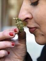 I rekreační užívání marihuany může u teenagerů způsobovat výpadky paměti, tvrdí výzkum