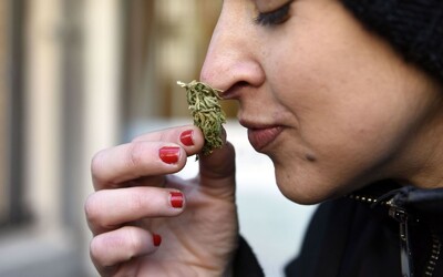 Aj rekreačné užívanie marihuany môže u tínedžerov spôsobovať výpadky pamäte, tvrdí výskum