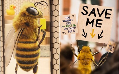 Aj včela môže byť influencerka. Túto sleduje viac ako 100-tisíc ľudí, vplyv využíva na zvyšovanie povedomia ochrane hmyzu