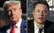 Ak Donald Trump vyhrá prezidentské voľby, Elon Musk vstupuje do politiky. Dvojica prezradila veľké plány