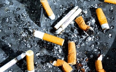 Ak tvoj otec fajčil cigarety, môžeš mať až o 9 % menej spermií. Vedci analyzovali aj problémy s plodnosťou