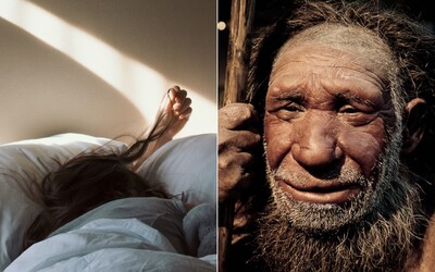 Ak vstávaš skoro ráno, môže za to gén zdedený po neandertálcoch, tvrdí nový výskum
