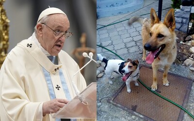 Ak vychovávaš psov či mačky miesto detí, je to sebecké, myslí si pápež František