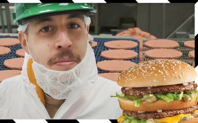 Jaké maso opravdu dávají do burgerů v českých McDonald's?