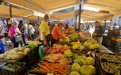 Ako rozoznať, kto na trhu predáva skutočnú zeleninu zo záhrady? Košice skúšajú novinku