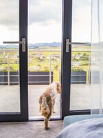 Ako vám kvalitné okná zlepšia život?