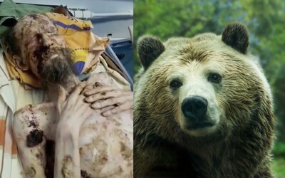 Aktualizované: Rus bol vraj mesiac v medveďom brlohu, nakoniec išlo o klamstvo