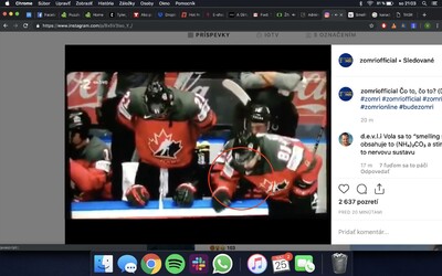 Jakou bílou látku vdechoval kanadský hokejista na střídačce během zápasu s Českem?