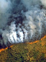 Amazonský prales horí už niekoľko týždňov. Krajina vyhlásila mimoriadny stav