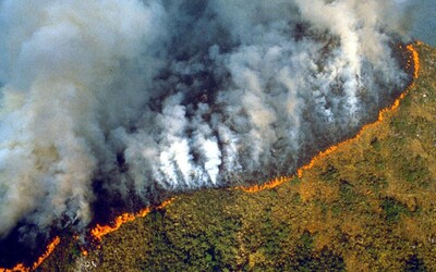 Amazonský prales horí už niekoľko týždňov. Krajina vyhlásila mimoriadny stav