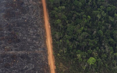 Amazonský prales opäť v plameňoch. Požiarov je o tretinu viac než vlani