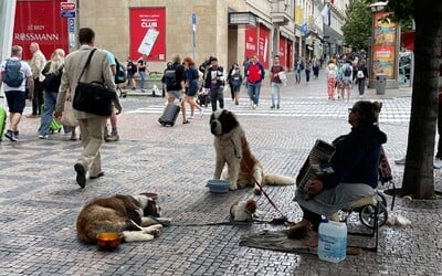 Ani se nehni a vydělávej. Skupina z Rumunska v českých městech využívá k žebrání své psy, situace je prý neřešitelná