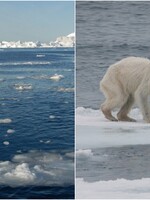 Antarktída a Grónsko sa topia veľmi rýchlo, takýmto tempom bude musieť planéta čeliť fatálnym dôsledkom