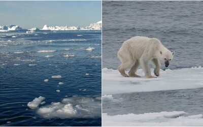 Antarktida a Grónsko tají velmi rychle, tímto tempem bude planeta čelit fatálním důsledkům