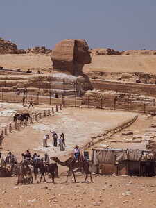 Archeologové hlásí z Egypta překvapivý nález. V chrámu faraona Ramesse II. našli více než 2 000 zachovaných zvířecích hlav