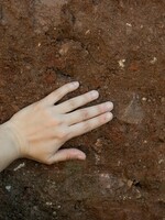 Archeologové našli ve Vyškově neobvyklý hrob s dítětem. Pohřeb před 4000 tisíci lety proběhl za zvláštních okolností