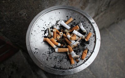 Až třetina Čechů kouří, mnohdy ale ne denně, ukázal průzkum