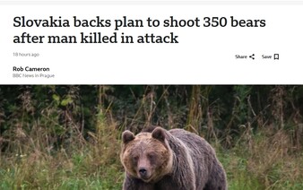 BBC píše o Slovensku: Plán na zastrelenie medveďov vyvolal vlnu kritiky