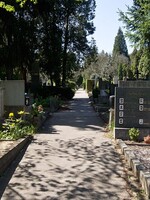 Babička v Brně zůstala uvězněná na hřbitově. Vysvobodila ji až policie