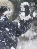 Bestie z Východu přichází: Objeví se krutý mráz a silné sněžení, podle prognózy nejspíše zasáhne i Česko