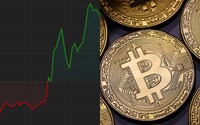 Bitcoin překonal letošní maximum. Daří se i dalším kryptoměnám, jedna vystřelila o téměř 500 % od začátku roku