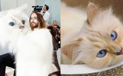 Bizár z Met Gala 2023: Jared Leto prišiel oblečený do kostýmu Lagerfeldovej mačky Choupette