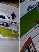 Bizarná naháňačka v Petržalke: mužovi ukradol kolobežku, ten ho stihol dobehnúť a spacifikovať