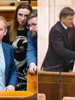 Blokovanie rečníckeho pultu už slovenský parlament zažil. Alojz Hlina sa najprv pobil, potom mlčiac protestoval