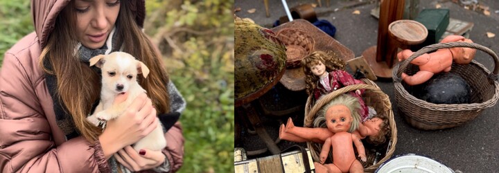 Bola som sa pozrieť na bratislavskom blšáku na Interi: Nájdeš tu kradnuté veci, choré šteniatka aj bábiky z hororu